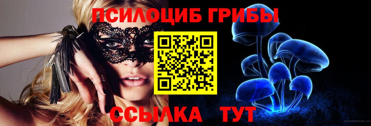 Богданович  Псилоцибиновые грибы ЛСД  Вход с VPN  Галлюциногенные грибы ЛСД 
